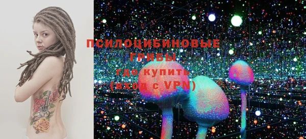 эйфоретик Каменка