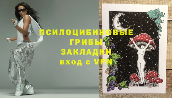 эйфоретик Каменка
