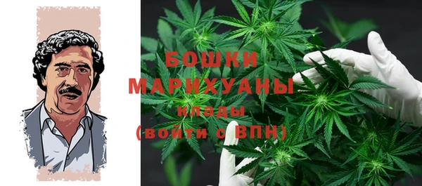 эйфоретик Каменка