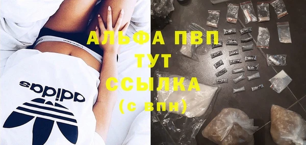 эйфоретик Каменка