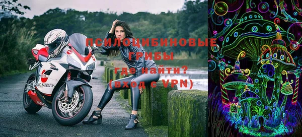 эйфоретик Каменка